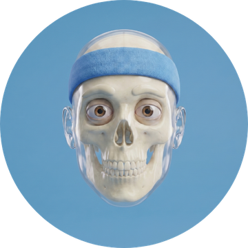 Skelly